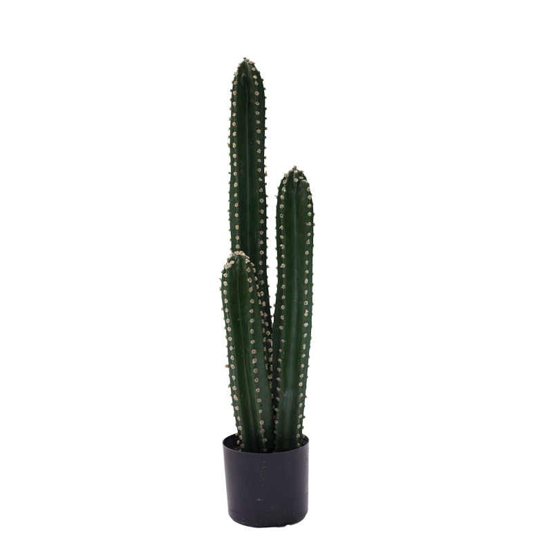 Декоративно растение, Cactus III, Зелен, Пластмаса