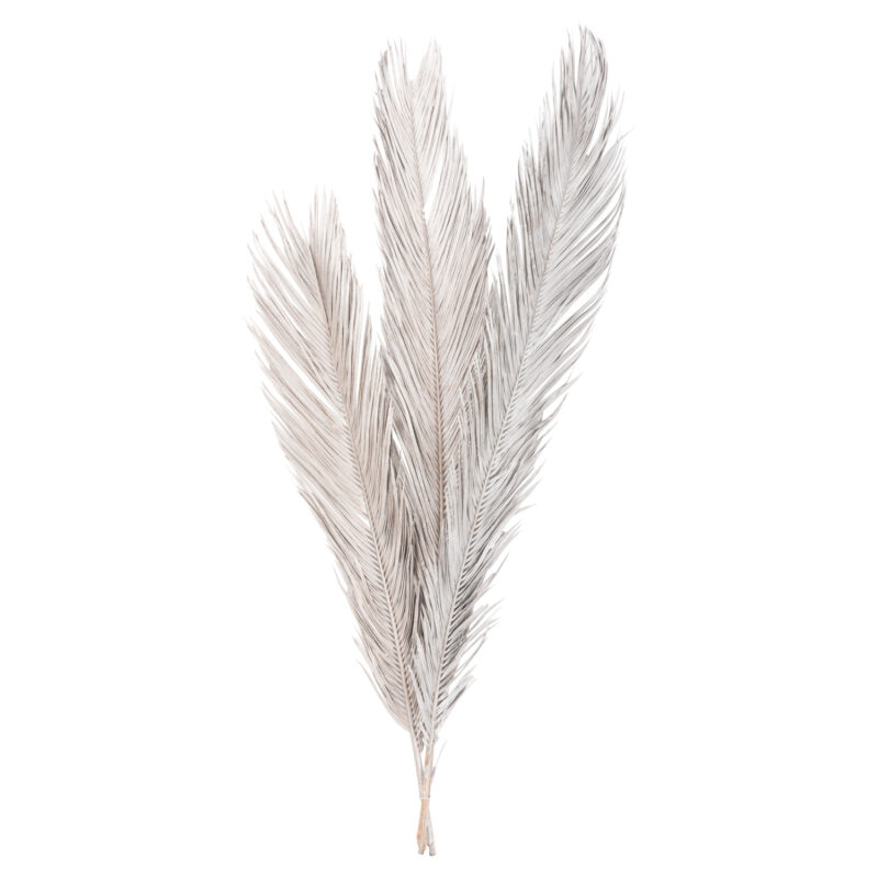 Декоративни сушени тръстики, HM7957, Сребрист, Растителни влакна