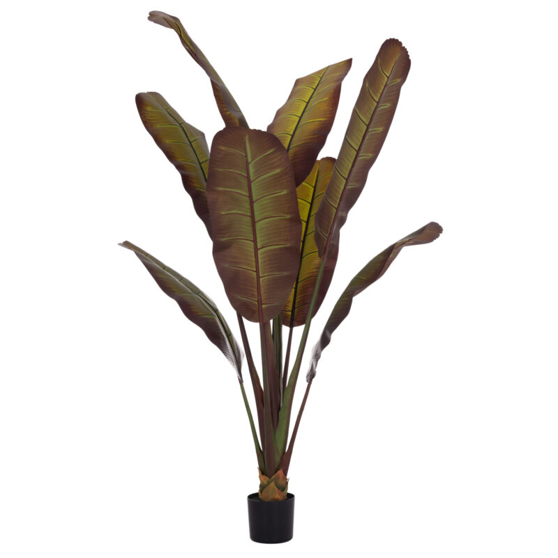 Изкуствено растение, JAPANESE BANANA, Кафяв, Пластмаса, 85х75х225см.
