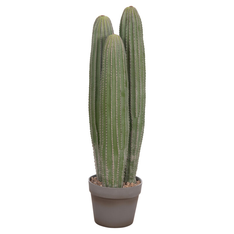 Изкуствено растение, Cactus, Зелен, Пластмаса, 16х62см.