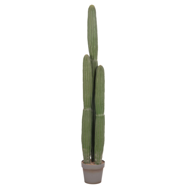 Изкуствено растение, Cactus, Зелен, Пластмаса, 17.5х144см.