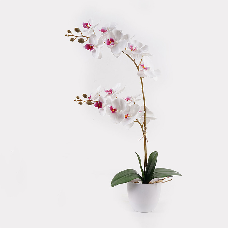 Изкуствено растение, Orchid, Бял, Пластмаса, 36х17х65см.