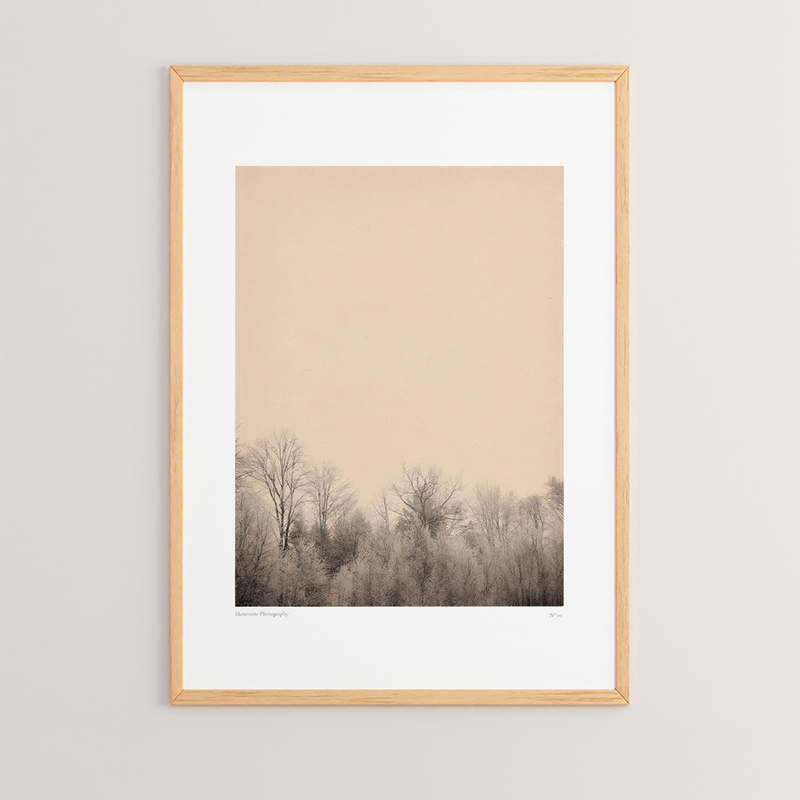 Картина, 409-000057, Многоцветен, Дърво, 33х1.5х48см.